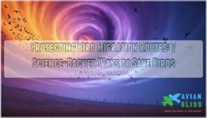 protecting bird migration routes