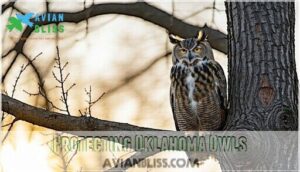 protecting oklahoma owls