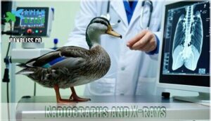 radiographs and x-rays