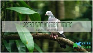 range and distribution