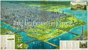 rare and endangered species