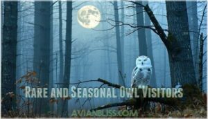 rare and seasonal owl visitors