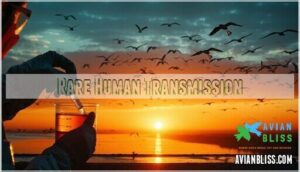rare human transmission