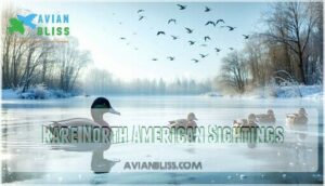 rare north american sightings