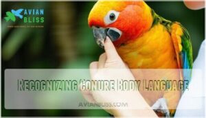 recognizing conure body language