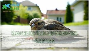 recognizing head and concussion symptoms recognizing head and concussion symptoms