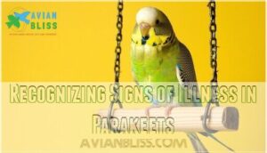 recognizing signs of illness in parakeets
