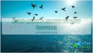 record-breaking migration and flight discoveries record-breaking migration and flight discoveries
