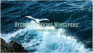 record-breaking wingspans