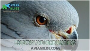 recovery and complications