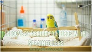 recovery period for birds with sprained legs