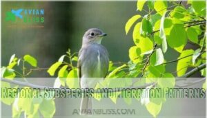 regional subspecies and migration patterns