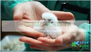 rehabilitation centers rehabilitation centers