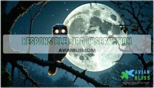 responsible bird observation