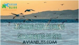 resting and feeding strategies at sea resting and feeding strategies at sea