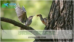 reunion with mother reunion with mother