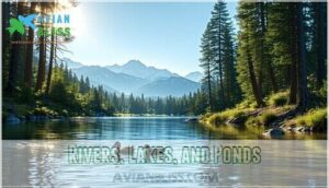 rivers, lakes, and ponds
