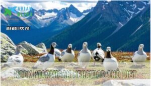 rock ptarmigan behavior and diet