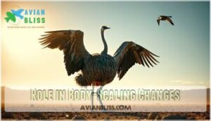 role in body-scaling changes role in body-scaling changes