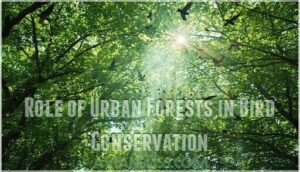role of urban forests in bird conservation