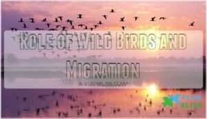 role of wild birds and migration