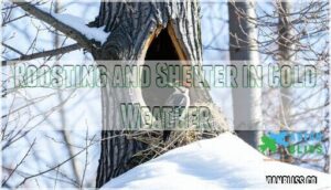 roosting and shelter in cold weather
