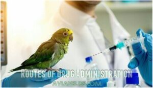 routes of drug administration