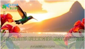 ruby-throated hummingbird migration routes