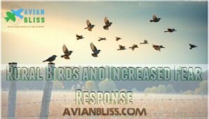 rural birds and increased fear response