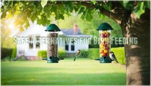 safe alternatives for bird feeding