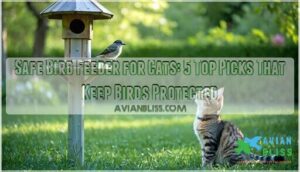 safe bird feeder for cats safe bird feeder for cats
