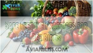 safe feeding practices for pet birds safe feeding practices for pet birds