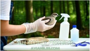 safe handling procedures