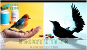 safe human antibiotics