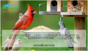 safflower seed acceptance rates