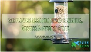 safflower seed for birds