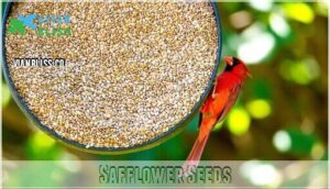safflower seeds
