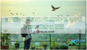 saving birds from pollution saving birds from pollution