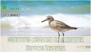 scientific research on sandpiper hopping behavior scientific research on sandpiper hopping behavior