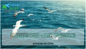seabirds with large wingspans seabirds with large wingspans