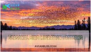 seasonal bird migration patterns seasonal bird migration patterns