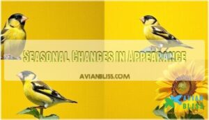 seasonal changes in appearance