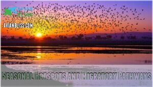seasonal hotspots and migratory pathways seasonal hotspots and migratory pathways