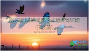 seasonal movements and migratory behavior