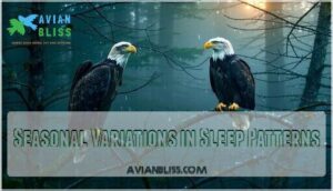 seasonal variations in sleep patterns