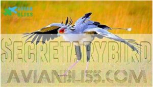 secretarybird