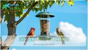 seed and suet offerings