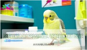 seeking professional veterinary care