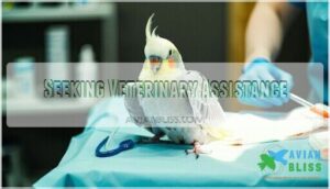 seeking veterinary assistance
