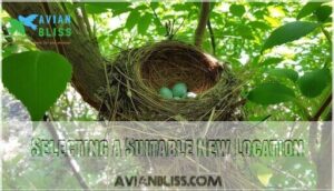 selecting a suitable new location